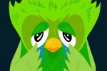 Duolingo owl