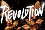 A close-up of the cover of Donnelly's novel entitled Revolution.
